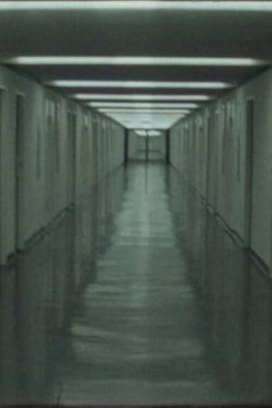 Corbusierhaus (2020) poster