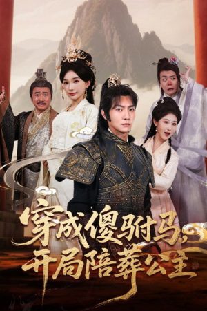 穿成傻驸马，开局陪葬公主 (2025) poster