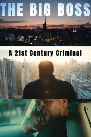 The Big Boss: A 21st Century Criminal (2019) poster