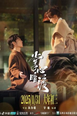掌心暗渡 (2025) poster