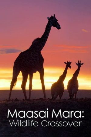 Masai Mara Wildlife Crossover (2020) poster