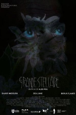 Grande Stellaire (2024) poster