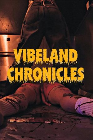 Vibeland Chronicles (2026) poster