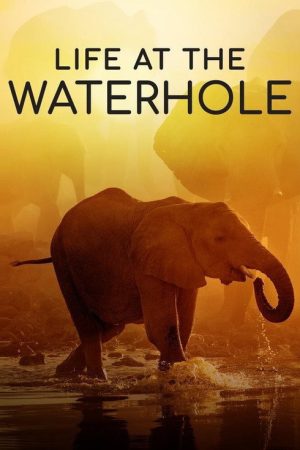 Life at the Waterhole (2021) poster