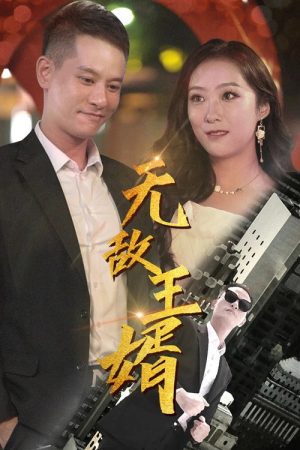 无敌王婿 (2023) poster