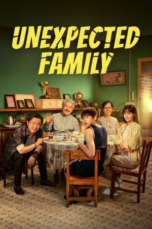 Unexpected Family (2026) poster