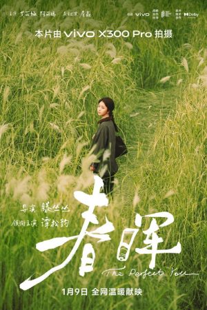 春晖 (2026) poster