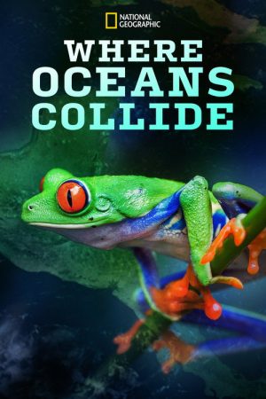 Where Oceans Collide (2018) poster