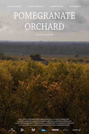 Pomegranate Orchard (2017) poster