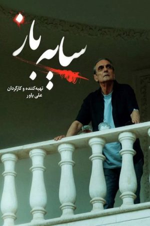 Schemer (2023) poster