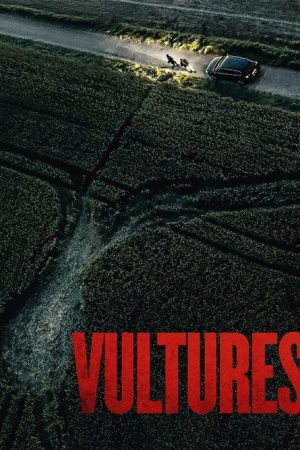Vultures (2025) poster