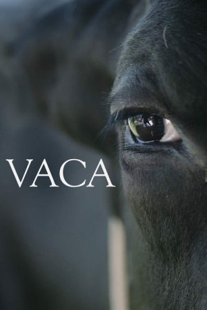 Vaca (2018) poster