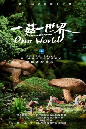 一菇一世界 (2021) poster