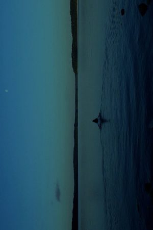 THE WATERS (2024) poster