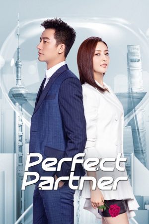 Perfect Partner (2020) poster