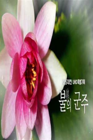 불(佛)의 군주 (2021) poster