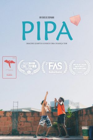 PIPA (2025) poster