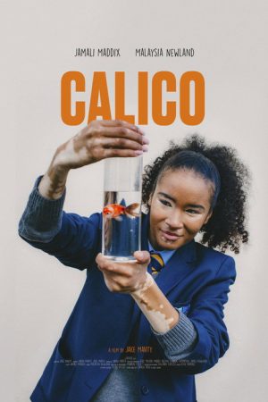 CALICO (2025) poster