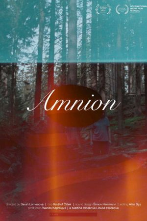 Amnion (2025) poster
