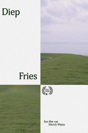 DiepFries (2024) poster