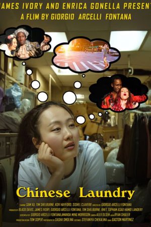 Chinese Laundry (2022) poster