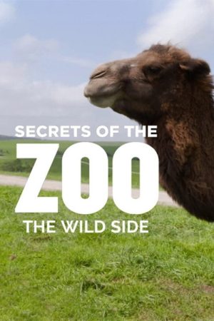 Secrets of the Zoo: The Wild Side (2019) poster