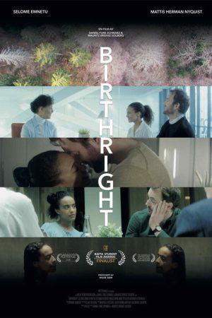 Birthright (2018) poster