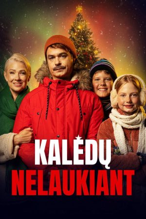 Not Waiting for Christmas (2026) poster