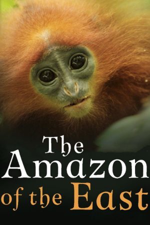 The Amazon of the East (2017) poster