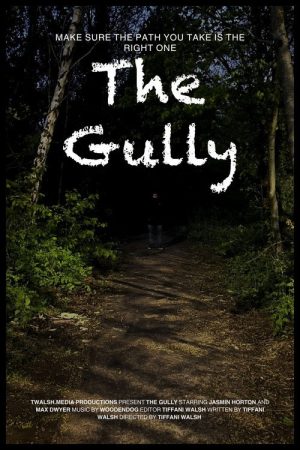The Gully (2024) poster