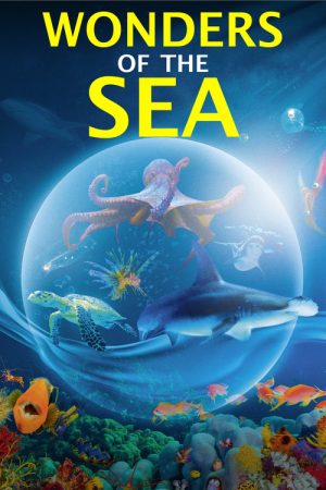 Wonders of the Sea (2017) poster