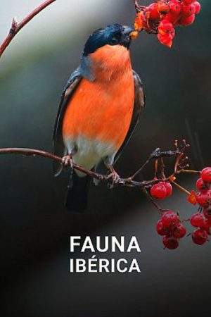 Fauna Ibérica (2023) poster