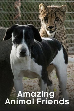 Amazing Animal Friends (2020) poster