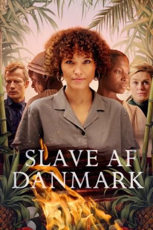 Slave af Danmark (2025) poster
