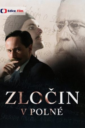 Zločin v Polné (2016) poster