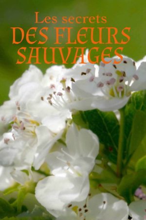 Les Secrets des fleurs sauvages (2019) poster