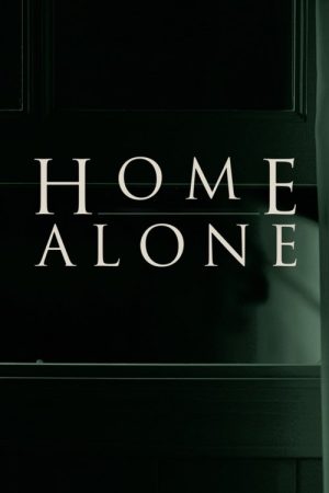 Home Alone (2017) poster