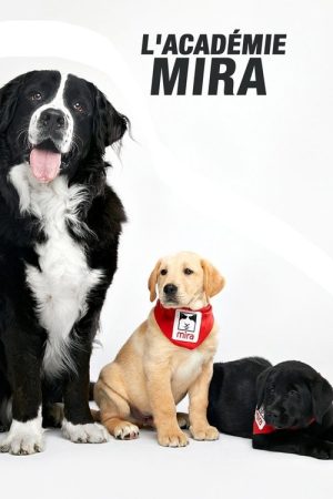 L’académie Mira (2019) poster