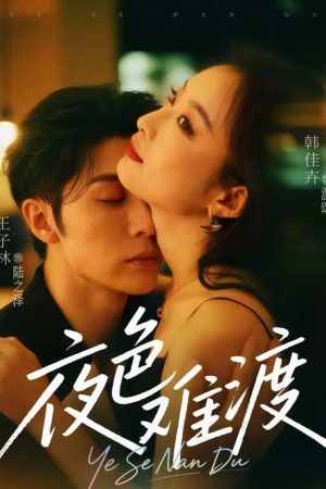 夜色难渡 (2025) poster