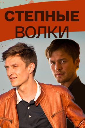 Степные волки (2016) poster