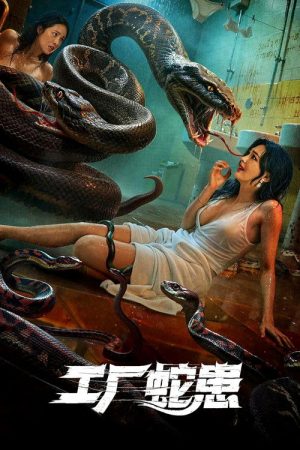 Snake Infestation in Factory (2025) poster