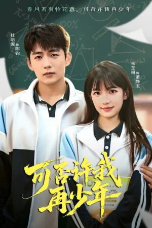可否许我再少年 (2025) poster