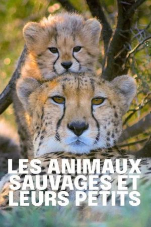 Tierkinder der Wildnis (2020) poster