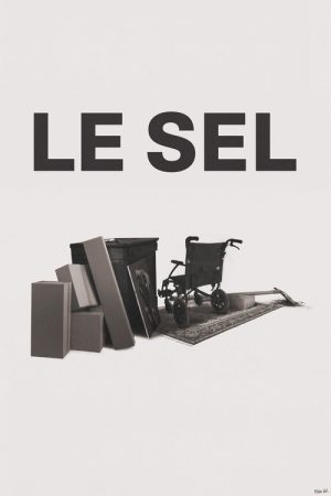 The Salt (2025) poster
