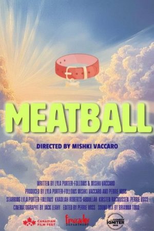Meatball (2025) poster
