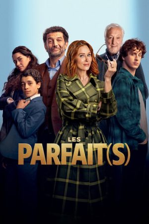 Les Parfait(s) : Arnaques en Famille (2026) poster
