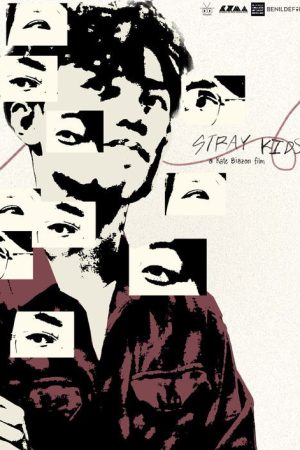 Stray Kids (2025) poster