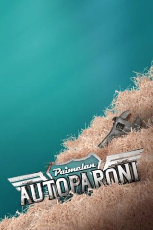 Paimelan autoparoni (2017) poster