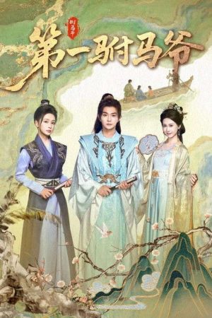 第一驸马爷 (2025) poster