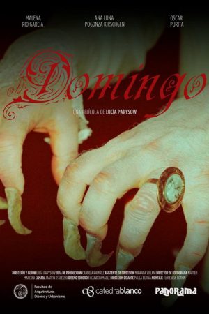 Domingo (2024) poster